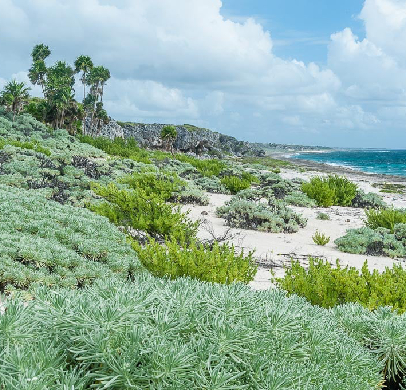 Península de Guanacabibes